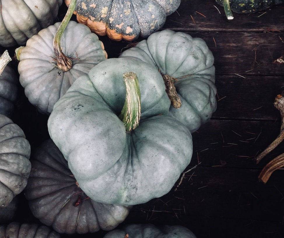 Miniatura: A pile of Triamble pumpkins.