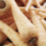 Thumbnail: A close look at several All American Parsnips.