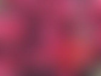 10/30～10/31洛神花蜜餞diy