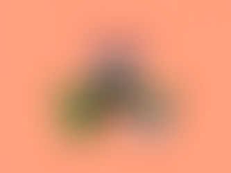 ルノルマンカード3枚読み 鳥、騎士、庭