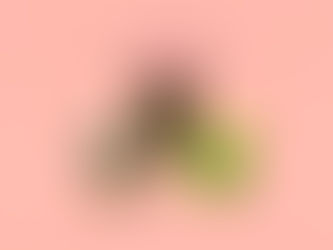 ルノルマンカード3枚読み