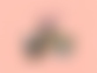 ルノルマンカード3枚読み 騎士、太陽、庭