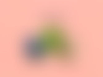 ルノルマンカード3枚読み 魚、クローバー、子供