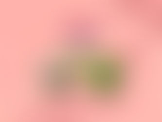 ルノルマンカード3枚読み 指輪、家、鳥