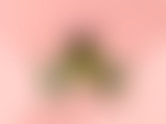 ルノルマンカード3枚読み ユリ、狐、道