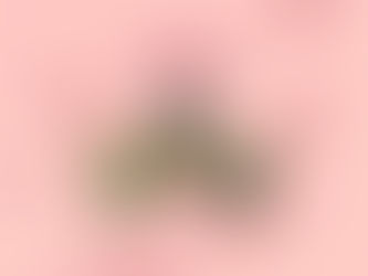 ルノルマンカード3枚読み ユリ、木、熊