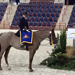 Champion2015 Sturrip Cup Finals Large Children's Ponies