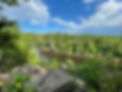 21.06.02 Interstate Park MN (1).jpeg