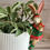 Thumbnail: Ceramic Elf Bunny Pot Hanger