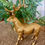 Thumbnail: Golden Stag Christmas Centrepiece