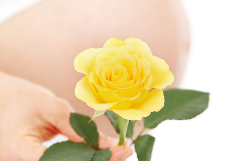 hand-plant-girl-woman-flower-petal-12588