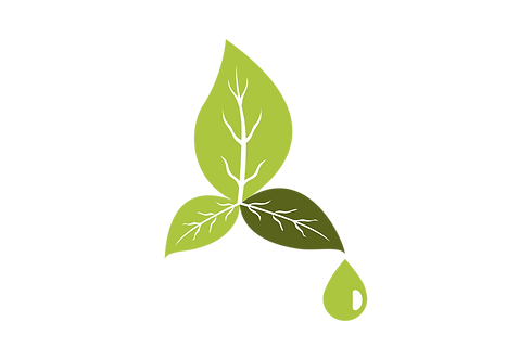environment-3420054.png