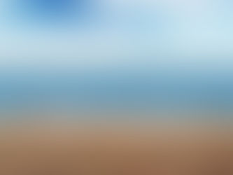 What's with the pelicans?