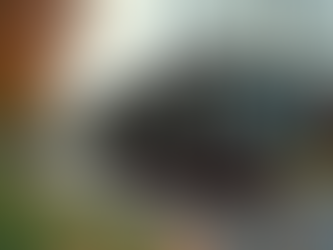 Choosing the Right Dumpster Rental