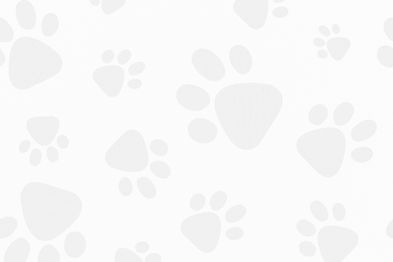 19085844_v1008-25-b_edited_edited.jpg