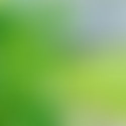 🌱７月の芝刈り&芝植え🌱