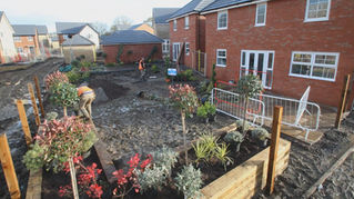 Short-term time-lapse success