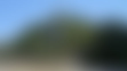 Time-lapse in Silchester