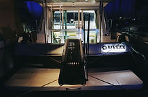 carpe_web_low_005.jpg