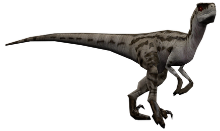 Raptor_03.png