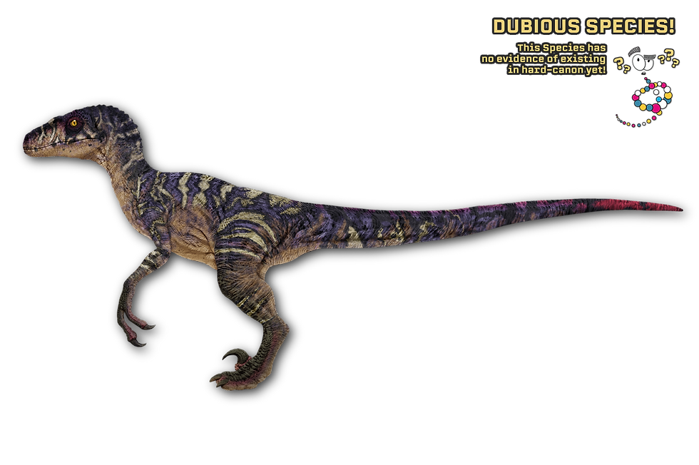 Female Coastal Velociraptor