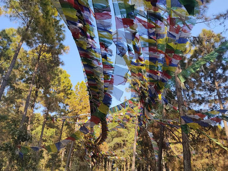 Dire non : pourquoi ça fait peur et ce que ton système nerveux révèle