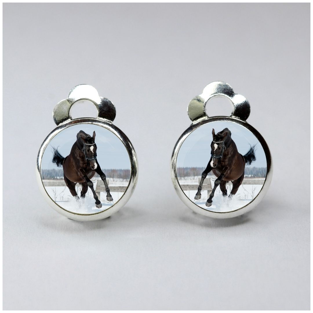 Clipsohrringe *Galopp*