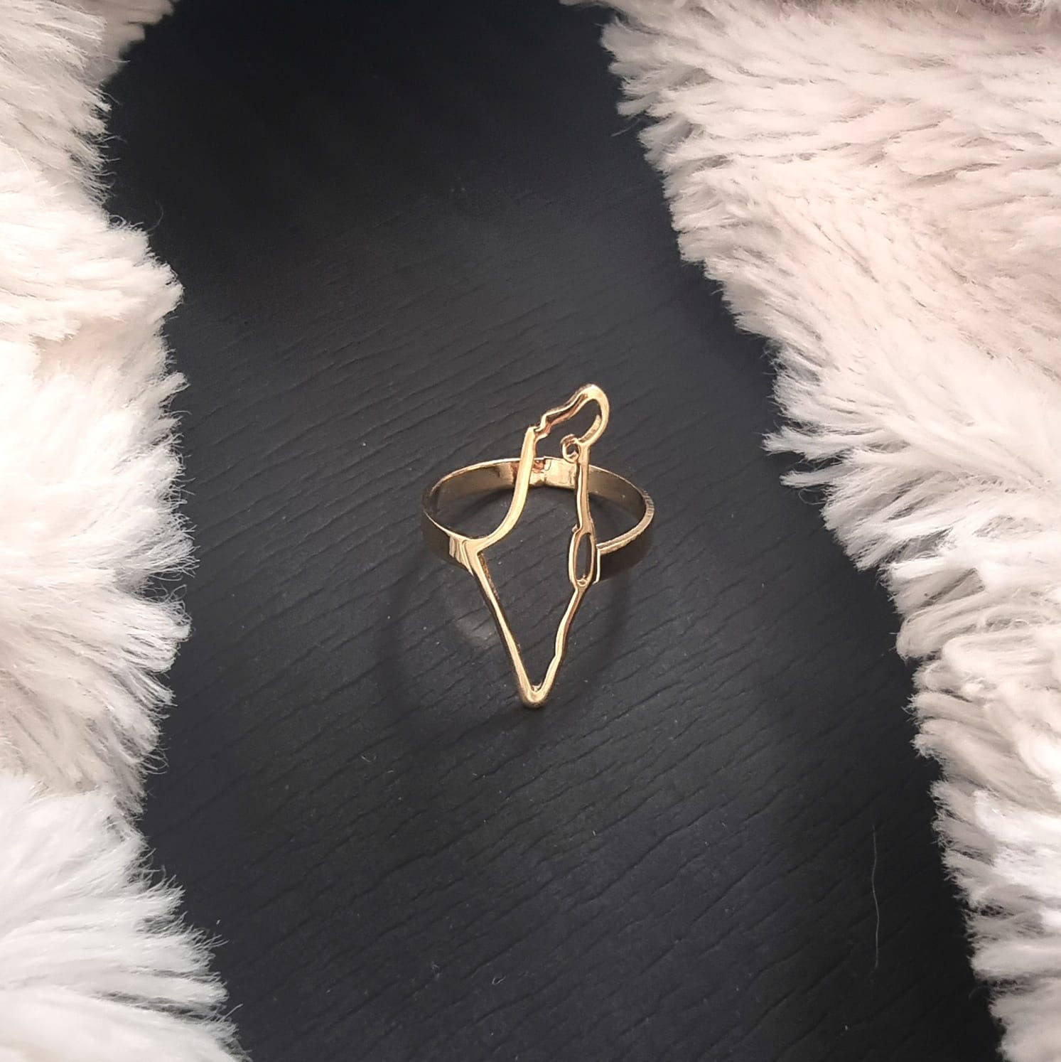 טבעת מפת ארץ ישראל זהב