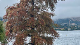 Je me sens désemparée