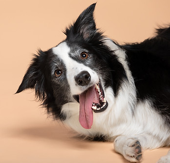 AdobeStock_722367232.jpeg