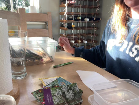 Seed sowing hack!