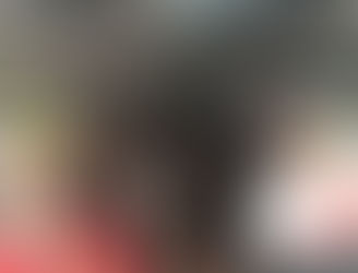 Wednesday 29th July - Swimming & Snapbacks