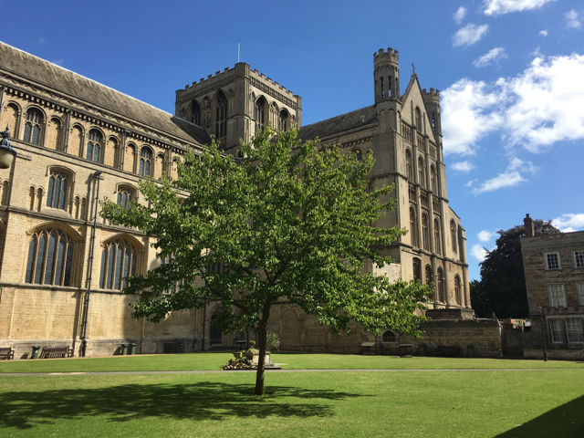 cathedral from cloisters