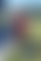 Friday 31st July - Squadding & Skiing