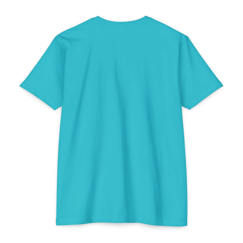 Thumbnail: Flaminglow CVC Jersey T-shirt