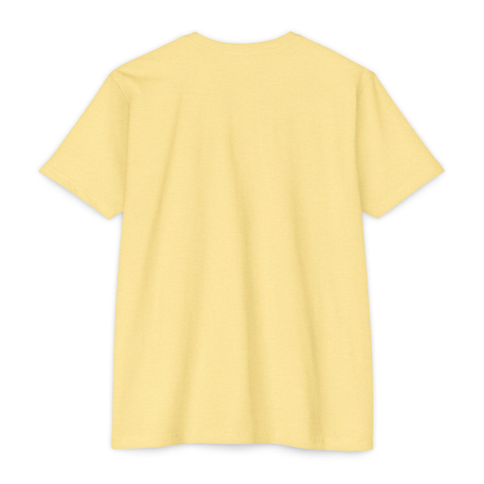 Thumbnail: Flaminglow CVC Jersey T-shirt