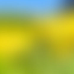 Check out our February 2026 Newsletter!