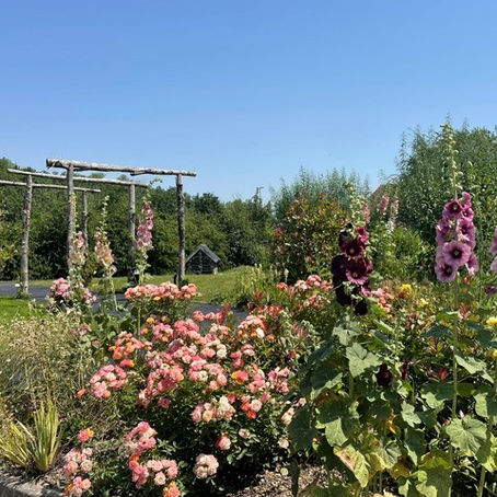 Check out our June newsletter!
