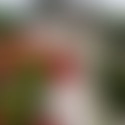 Welcome to our August 2024 Newsletter!