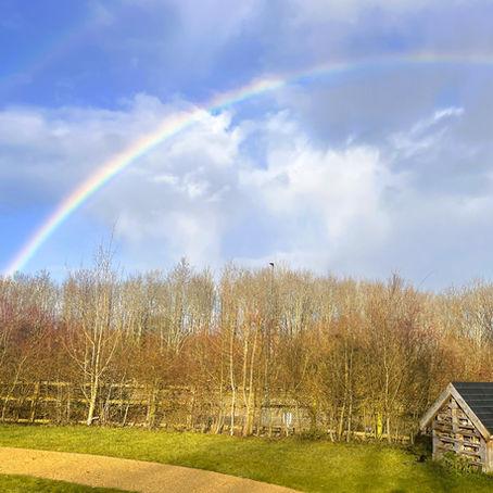 Check out our January 2026 Newsletter!