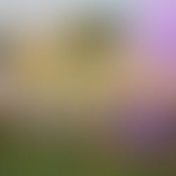 Welcome to the May 2024 Newsletter