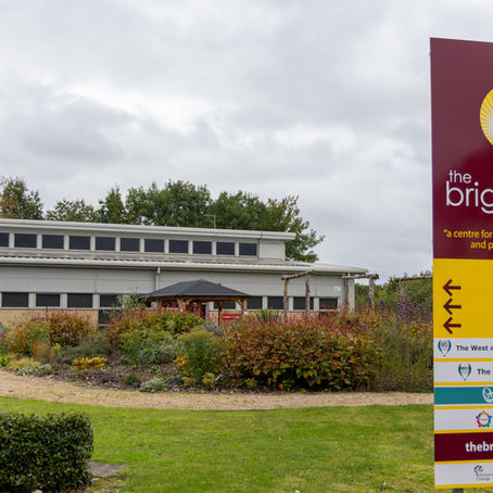 Check Out Our January 2025 Newsletter!