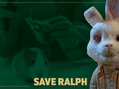 ¡NO MÁS PRUEBAS COSMÉTICAS EN ANIMALES!: SAVE RALPH