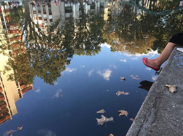 Qu Est Ce Que L Effet Miroir Trump Effet Miroir Le Reflet Du Monde