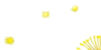 sketched yellow dandilions on white back