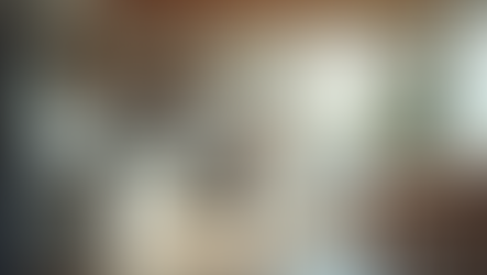 Top Kitchen Appliances for Every Cooking Enthusiast