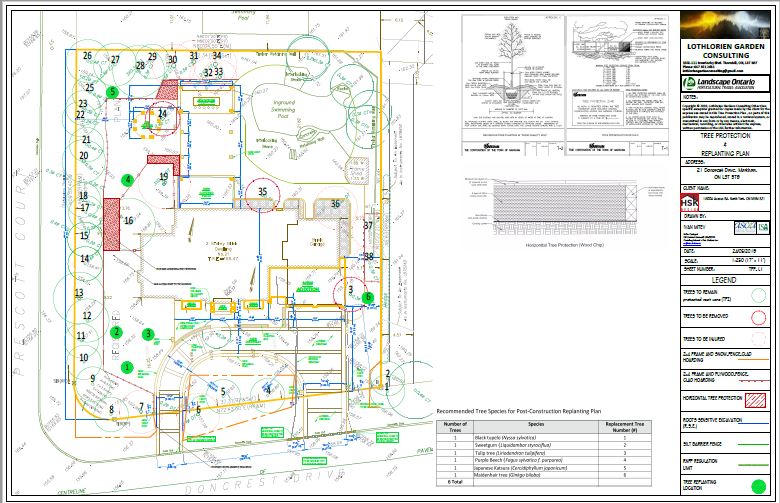 Tree Protection Plans and 3D images landscapedesigner