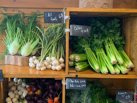 🌼 Jeudi 20 juillet 2023🌼