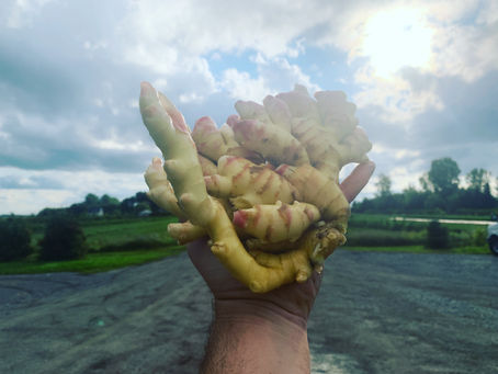 🌼 Jeudi 22 septembre 2022🌼