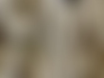 🌳 Semaine du 1er novembre 2021 🌳